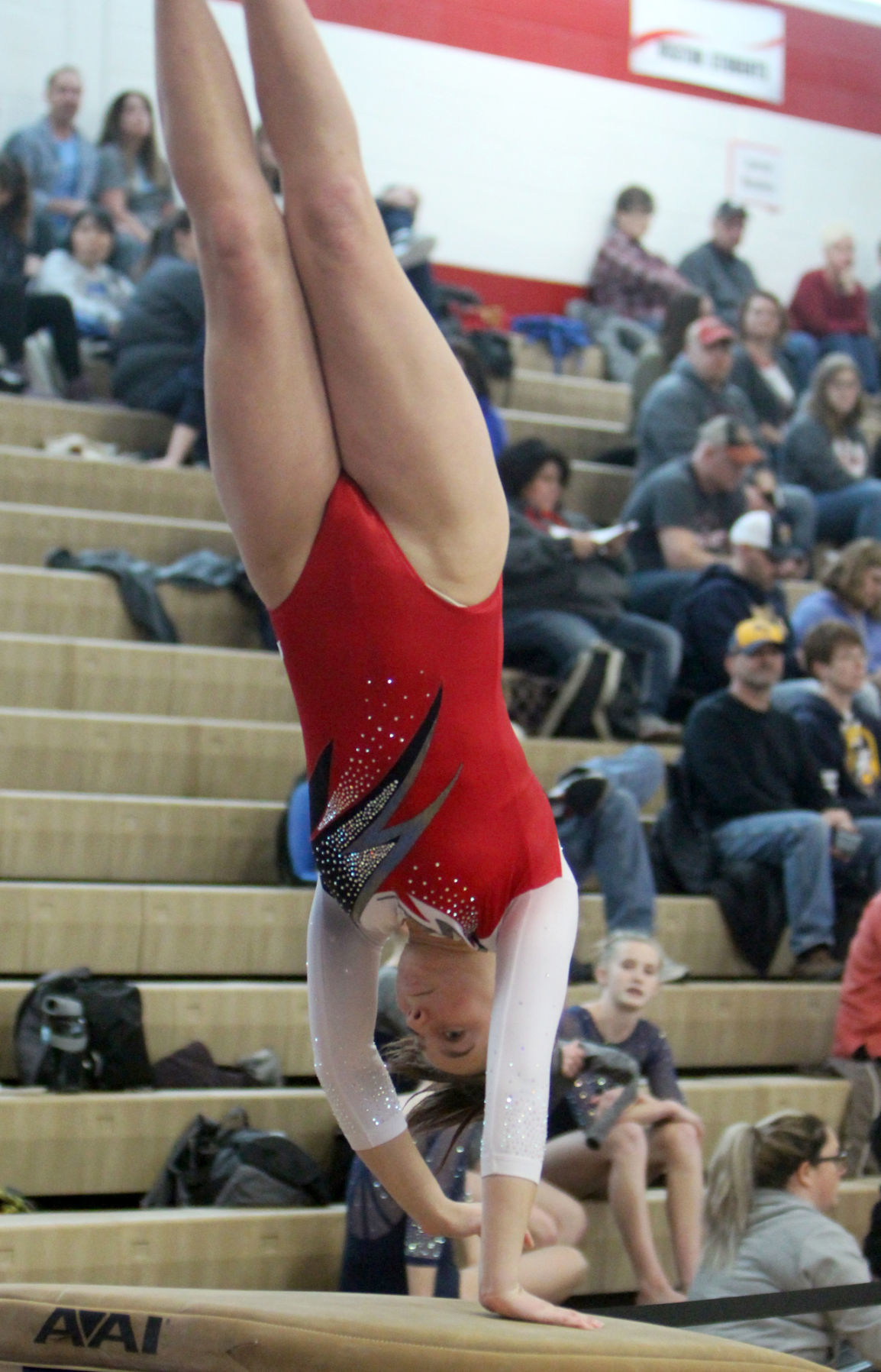 Big Rivers Conference Gymnastics Meet at Chippewa Falls 2-16-19